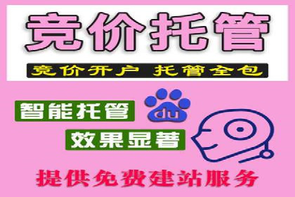 竞价推广公司案例详解：某品牌广告效果提升的秘诀